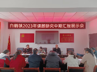 白鹤镇：推进课题研究  提升能力作风建设