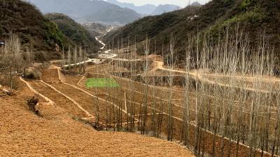 军店镇：旱改水项目助力乡村振兴