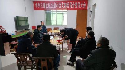 县人大办：指导九道小区支部换届 凝聚共驻共建工作合力