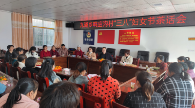 巾帼心向党，奋进新征程——九道乡组织开展庆“三八”妇女节活动