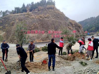 中坝乡：共建绿色家园 营造宜居中坝