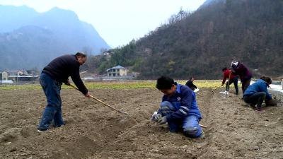 九道乡八里坡村:春日好时节 春耕备耕忙