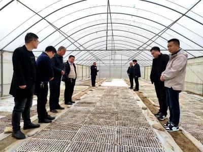 【能力作风建设在行动】青峰镇：以学促干推动能力作风双提升