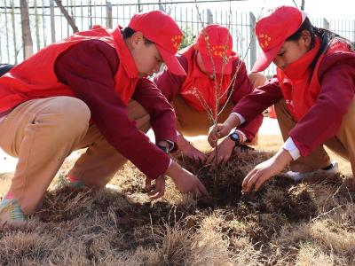 房县思源实验学校：义务植树添新绿 劳动实践美校园