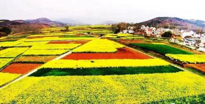 明日，这里有一场盛大“花事”！丹江口市向房县发出邀请帖