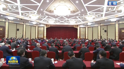 习近平在看望参加政协会议的民建工商联界委员时强调 正确引导民营经济健康发展高质量发展