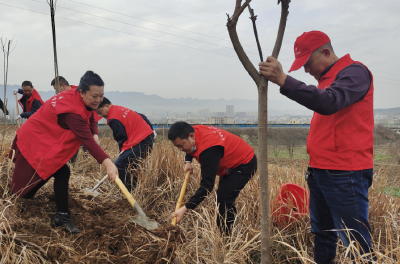 县民政局开展义务植树活动