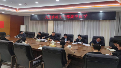 【能力作风建设在行动】九道乡：以学促干“夜学”不间断