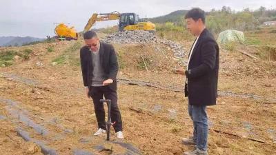 【能力作风建设在行动】青峰镇横峪沟村：“养猪第一村”绿色循环发展助力产业振兴