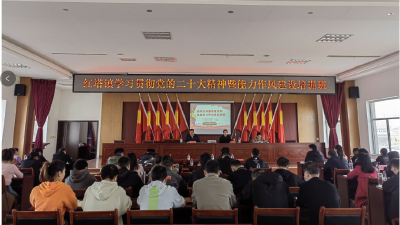 【能力作风建设在行动】红塔镇：精准“把脉”转作风  “对症下药”促提高