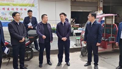 纪道清强调：盘活土地资源推动城市更新  打造独具辨识度的景区县城