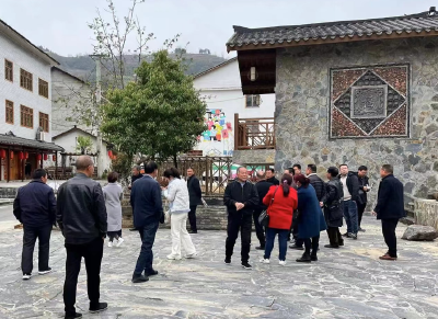 化龙堰镇：参观学习提履职能力 人大代表助乡村振兴
