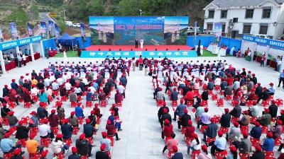 房县第二届“神农贡”茶王争霸赛暨姚坪乡茶旅文化节隆重举行