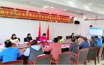 姚坪乡人社中心：人社业务大讲堂，提能力转作风
