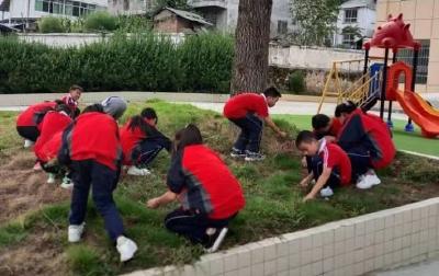 窑淮镇铺沟小学开展系列“世界卫生日”主题教育活动
