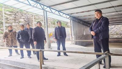 【能力作风建设在行动】上龛乡畜牧中心：牛儿未至 服务先行
