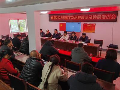 门古寺镇：博士导师现场指导 为门古魔芋“传经送宝”
