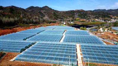 【能力作风建设系列报道】化龙堰镇上湾村：“党支部+”全链条发展