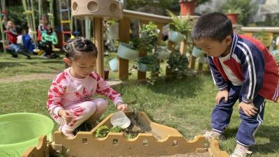 房县幼儿园：劳动赋能 快乐成长