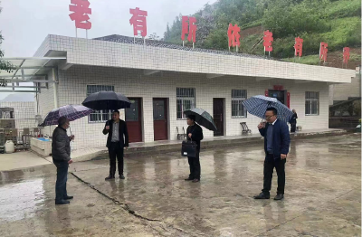 姚坪乡：打好安全组合拳  守牢假期平安线