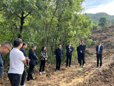 房县自然资源和规划局：深入田间地头抓整改 严守耕地保护红线