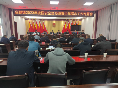 白鹤镇安排部署校园安全暨防溺水工作