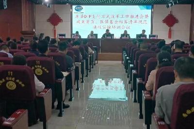 DIP专家团队来房县开展巡讲