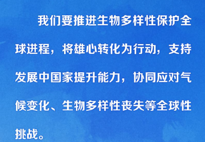 保护生物多样性 习近平提出这些中国主张