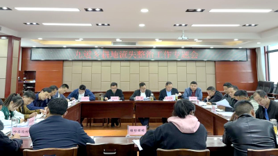 九道乡：严守耕地红线 狠抓耕地整改