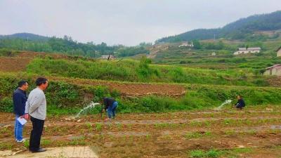 房县首期“粪肥一体化”项目正式投入运营