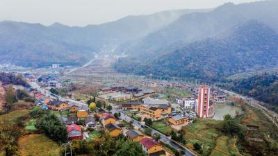 湖北房县：壮大“土特产” 留住“乡愁味”