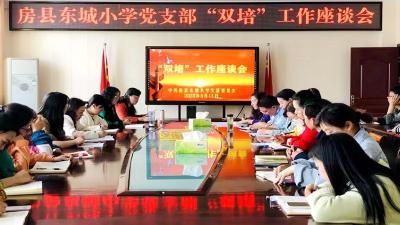 房县东城小学：党员教师“双培养”，党建教育“双提升”