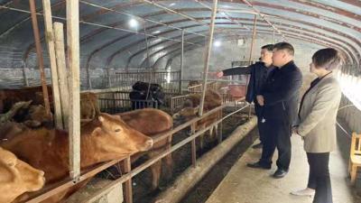 野人谷镇畜牧中心：倾情服务助推畜牧产业发展