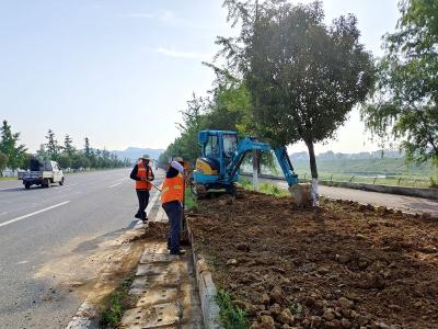 房县军店一级路：路肩绿化正当时 道路颜值再提升