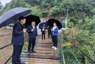 马兰起在青峰镇调研村集体经济发展工作