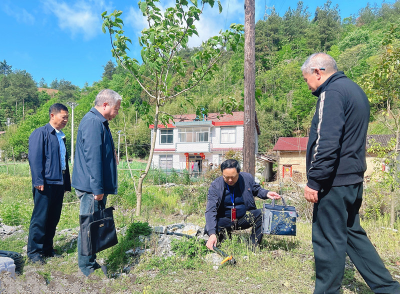 【镜头】巡察的初心使命 走在房县的乡间田埂上