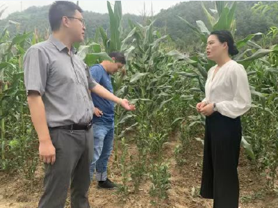 房县团县委：“新农人”带来“新希望”