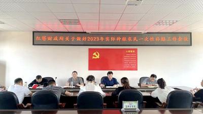 红塔镇：扎实做好实际种粮农民一次性补贴申报工作