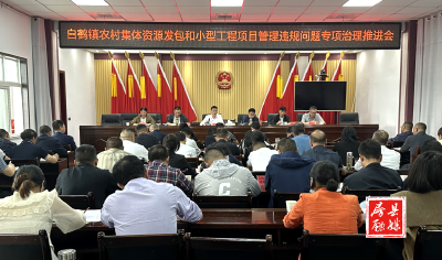 白鹤镇：积极开展村资源发包和工程项目管理专项治理工作