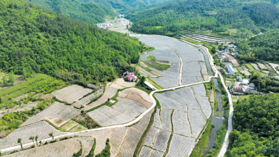 房县：产业聚力促振兴