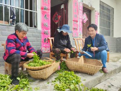 【镜头】巡察的初心使命 走在房县的乡间田埂上（二）