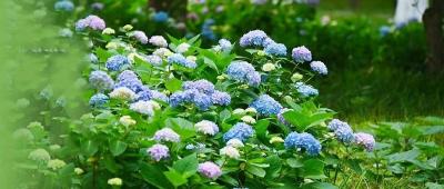 房县县委党校现场教学讲好房县故事