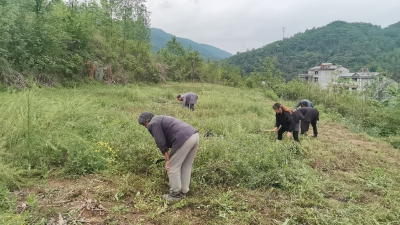 房县土城镇：三力齐发，让流失耕地变良田