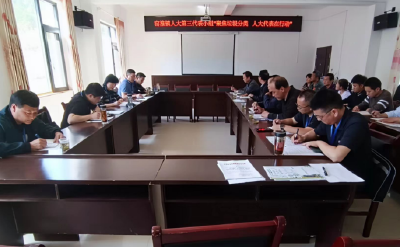 窑淮镇：聚焦垃圾分类 人大代表在行动