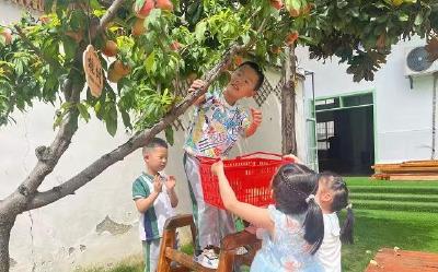 城关镇中心幼儿园开展劳动实践活动