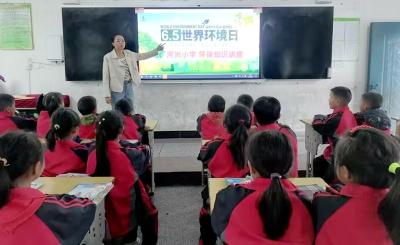 门古寺镇河兴小学：开展世界环境日主题教育活动