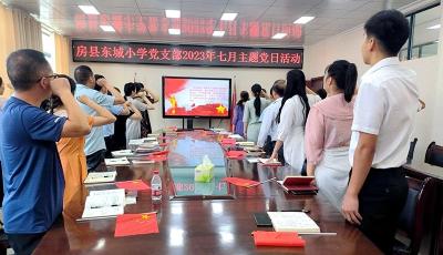 房县东城小学党支部开展“庆七一”主题党日活动