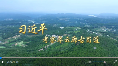 第1视点｜习近平考察翠云廊古蜀道