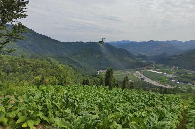 中坝乡：无人机飞进田间 科技强农促振兴