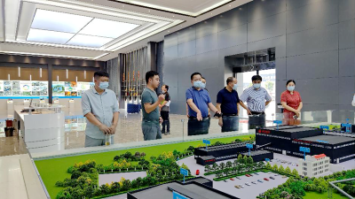 麻城市供销社一行来房考察交流